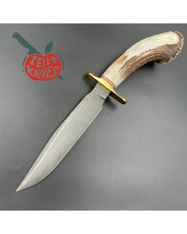 Blackjack Knives Model 1-7 fixed blade knife Damascus blade brass guard crown stag handle brown leather sheath Blackjack Knives Model 1-7 fixed blade knife Damascus blade brass guard crown stag handle brown leather sheath
