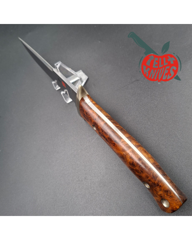 AL MAR KNIVES SV-25 Shiva Fixed Blade - 25th Anniversary Limited Edition fixed blade full tang VG-10 steel quince wood handle AL MAR KNIVES SV-25 Shiva Fixed Blade - 25th Anniversary Limited Edition fixed blade full tang VG-10 steel quince wood handle