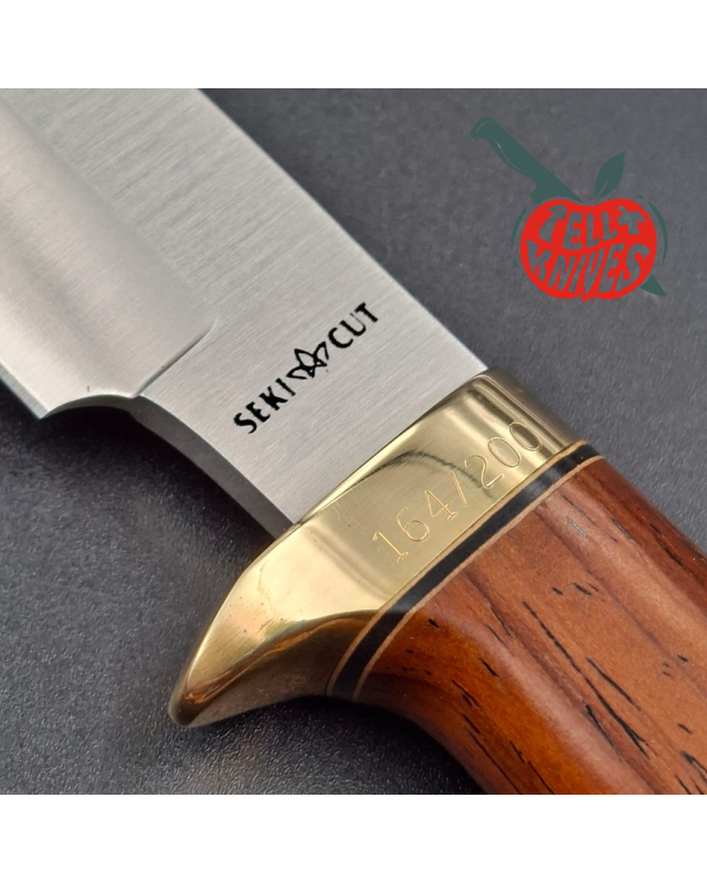 Hattori fixed blade "2003 HA6-4 Knife of the Year" VG-10 stainless steel brass guard and pommel cocobolo wood