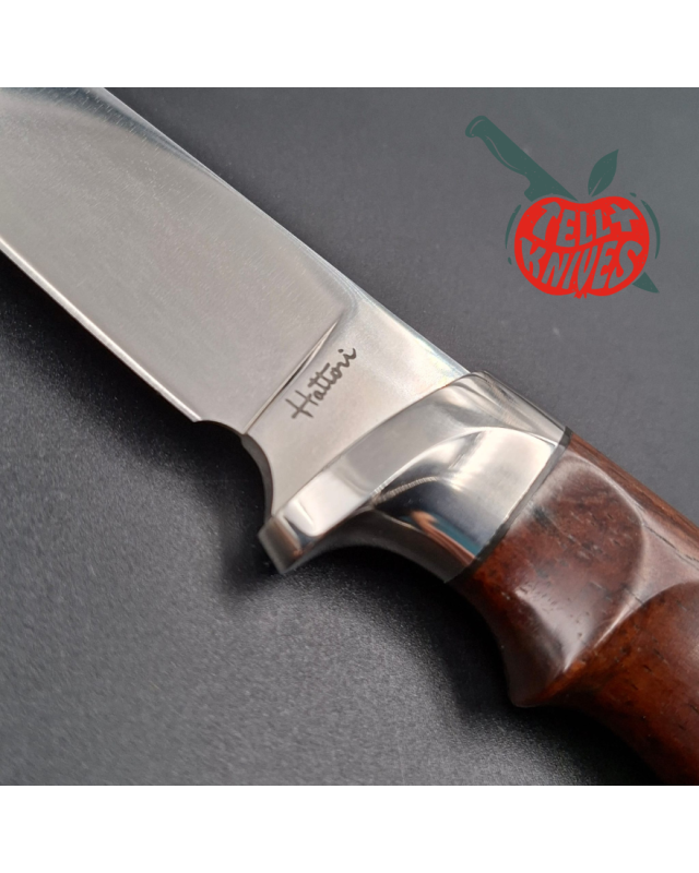 Hattori H29 fixed blade Kershaw Edition VG-10 stainless steel miror polished stainless steel guard and pommel cocobolo w