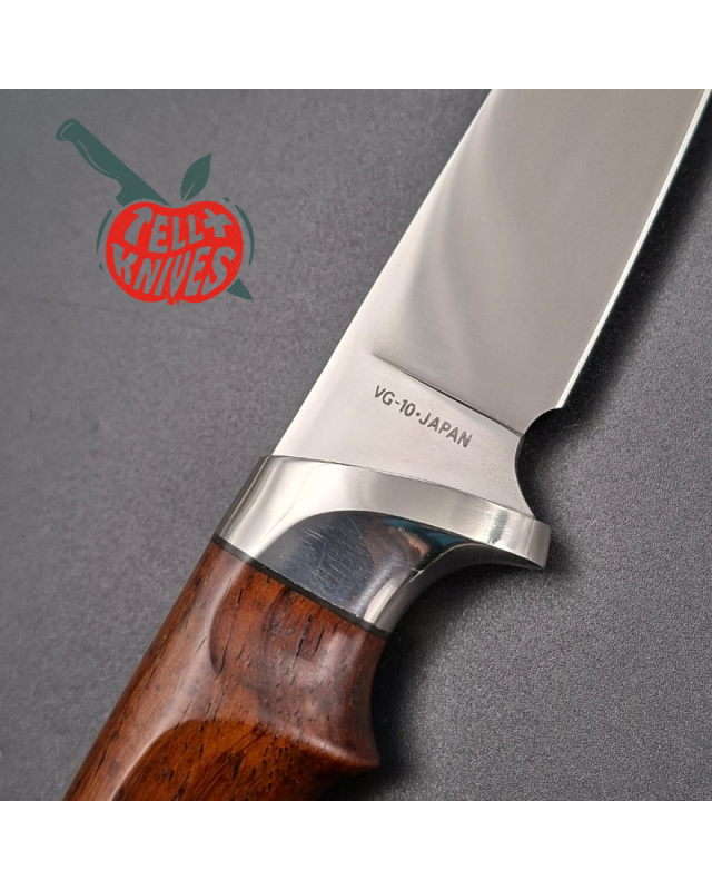 Hattori H29 fixed blade Kershaw Edition VG-10 stainless steel miror polished stainless steel guard and pommel cocobolo w