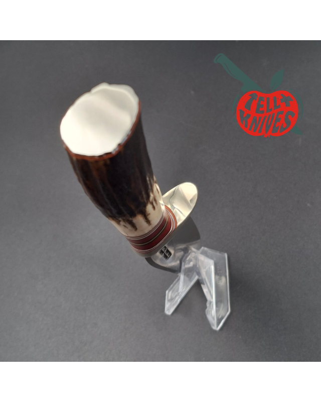 Randall Made Knives Model 27 Mini forged stainless steel stag handle nickel silver guard butt plate