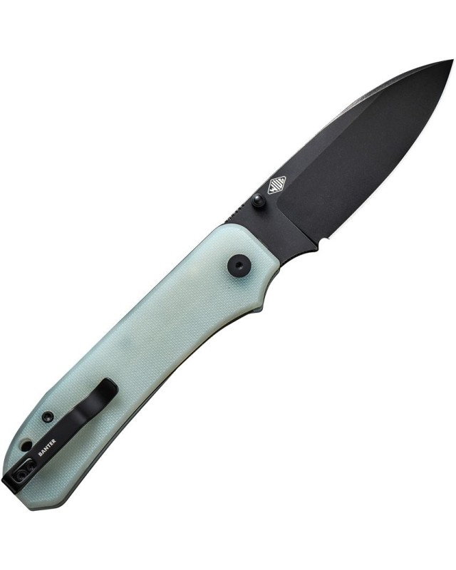 WE Knife Co Big Banter Linerlock CPM-20CV premium steel blackwash finish blade Jade G10 Handle