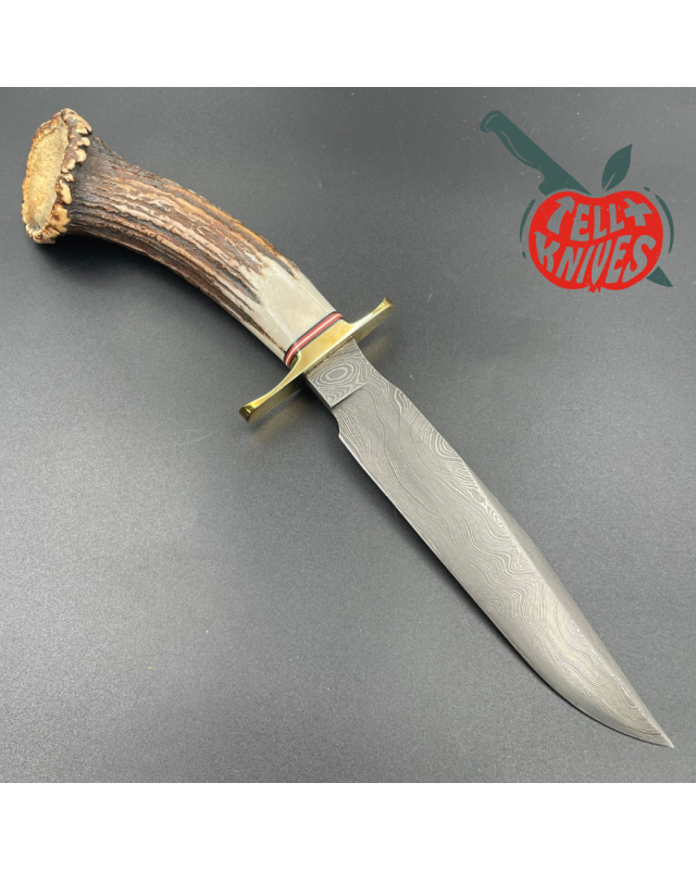 Blackjack Knives Model 1-7 fixed blade knife Damascus blade brass guard crown stag handle brown leather sheath