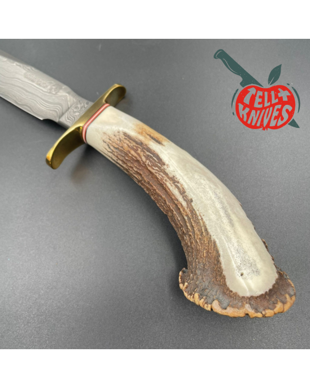 Blackjack Knives Model 1-7 fixed blade knife Damascus blade brass guard crown stag handle brown leather sheath