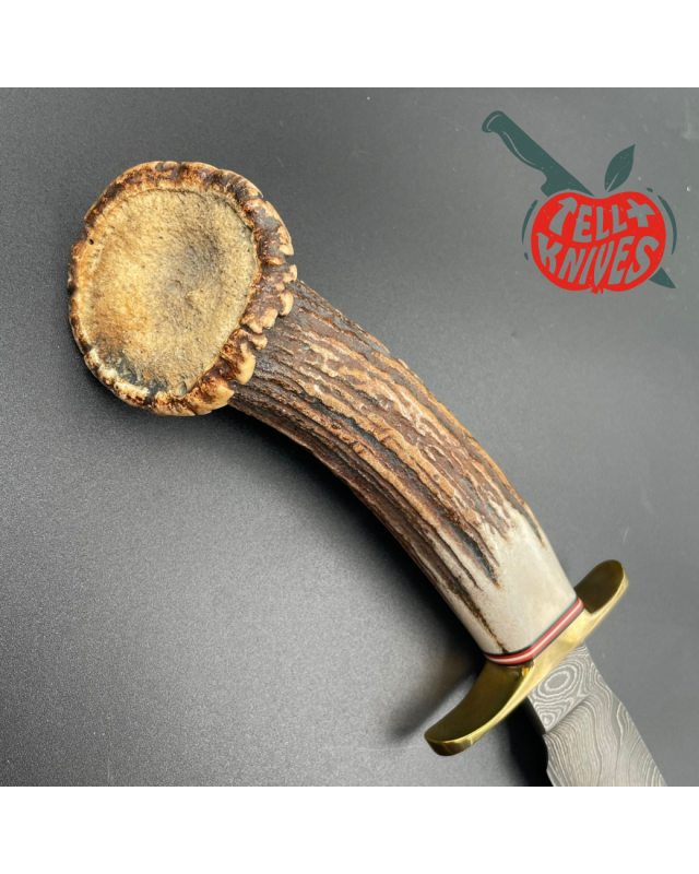 Blackjack Knives Model 1-7 fixed blade knife Damascus blade brass guard crown stag handle brown leather sheath