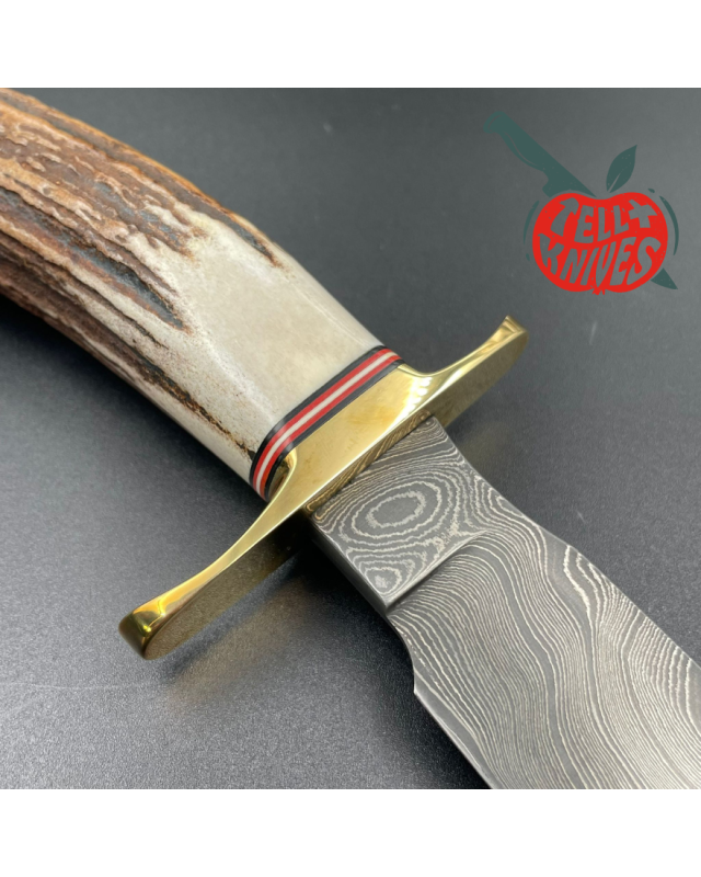 Blackjack Knives Model 1-7 fixed blade knife Damascus blade brass guard crown stag handle brown leather sheath