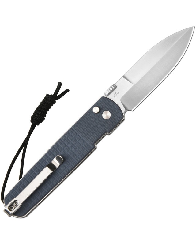 CJRB Locust Button Lock Sand Blast AR-RPM9 Stainless Steel Blade Blue G10 Handle