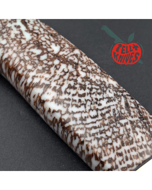 Sergey Shidlovskiy Custom Knives Snow Fighter laminate steel blade petrified oak handle brown leather sheath