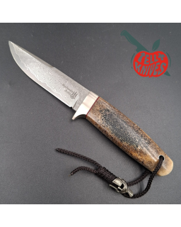 Sergey Shidlovskiy Custom Knives Model Dandy Small VG-10 laminate steel whale bone handle