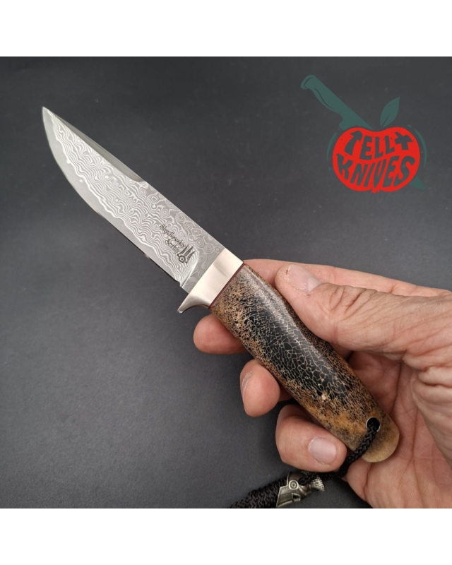 Sergey Shidlovskiy Custom Knives Model Dandy Small VG-10 laminate steel whale bone handle