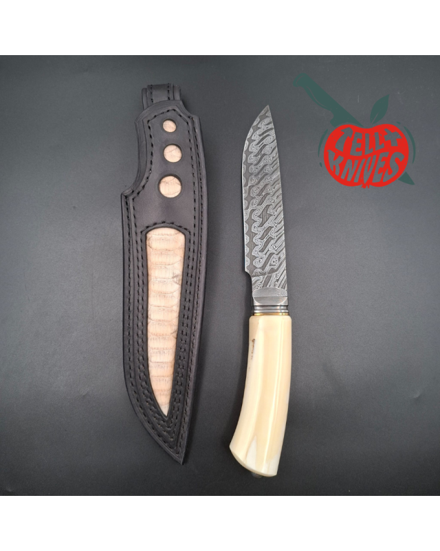 Michal Komorovsky Hunting Knife Damascus carbon steel walrus tooth handle black leather sheath