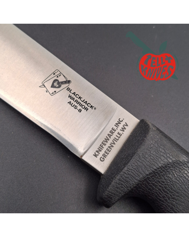 Blackjack SEKI Japan Warrior Tanto AUS8 stainless steel satin finish blade black Kraton handle black Kydex sheath