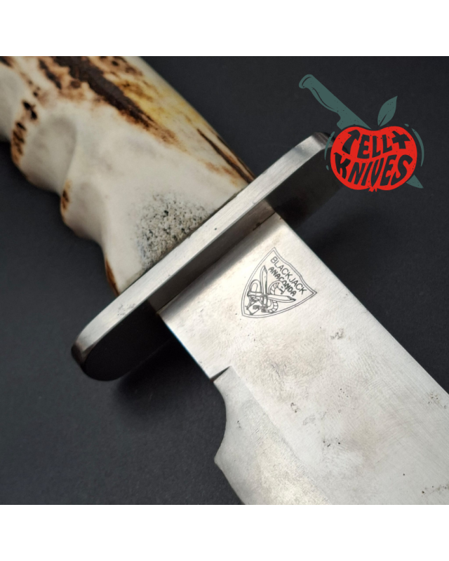 La Grotte du Loup BlackJack Anaconda II SEKI Japan Custom Stag-Griff