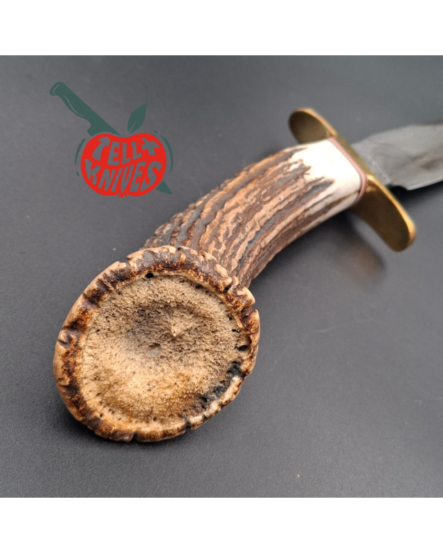 BlackJack Classic Blades Model 1–7 Damascus Crown Stag