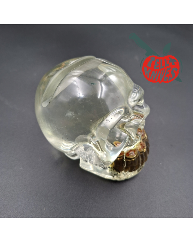La Grotte du Loup – Crâne porte-couteau en résine transparente avec douilles