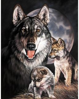 Graham Wolf Experience