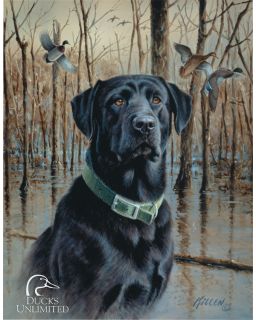 Ducks Unlimited 3