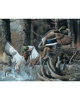 Ducks Unlimited 4