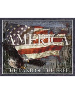 America Land of Free