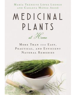 Medicinal Plants at Home