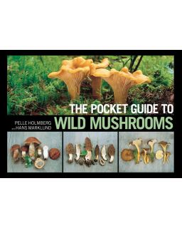 Pocket Guide To Wild Mushrooms