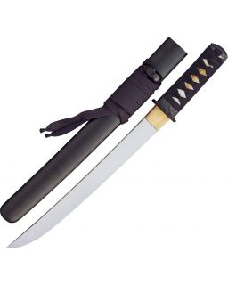 Raptor Tanto