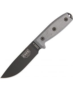 Model 4