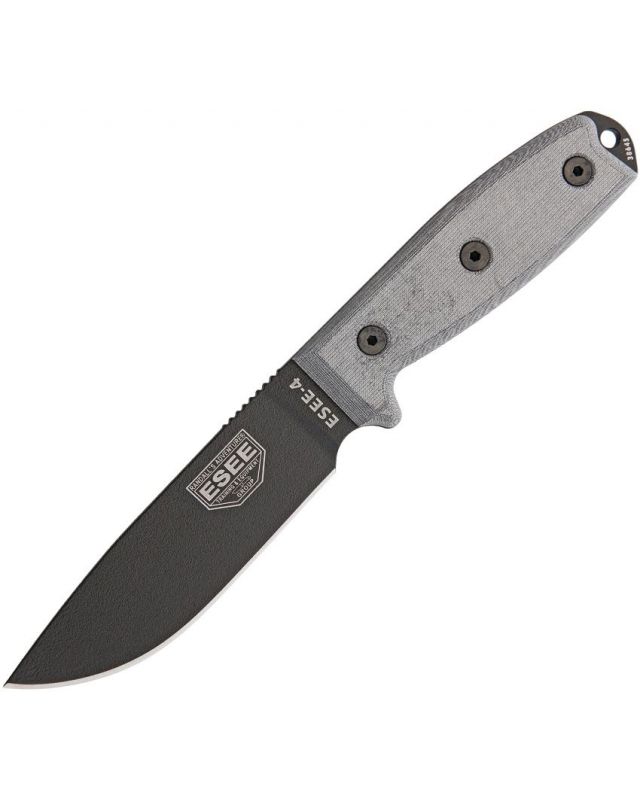 Model 4