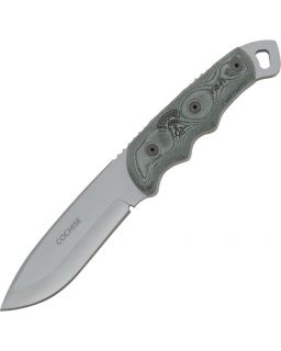 Cochise Ranger