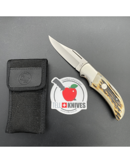 FALCON - Hunter Stag - Collection knife