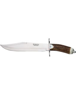 Bowie 25