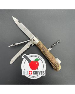 HASE - Cervo Hunter - Coltello da collezione