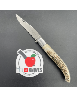 Maison Fontenille - Pataud - Modèle Thiers - Collection knife