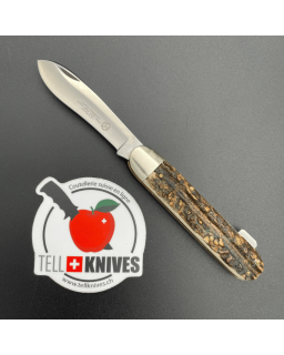 Diefenthal Solingen - Collection knife