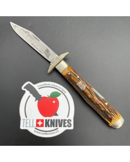 KLAAS SOLINGEN - Coltello da collezione