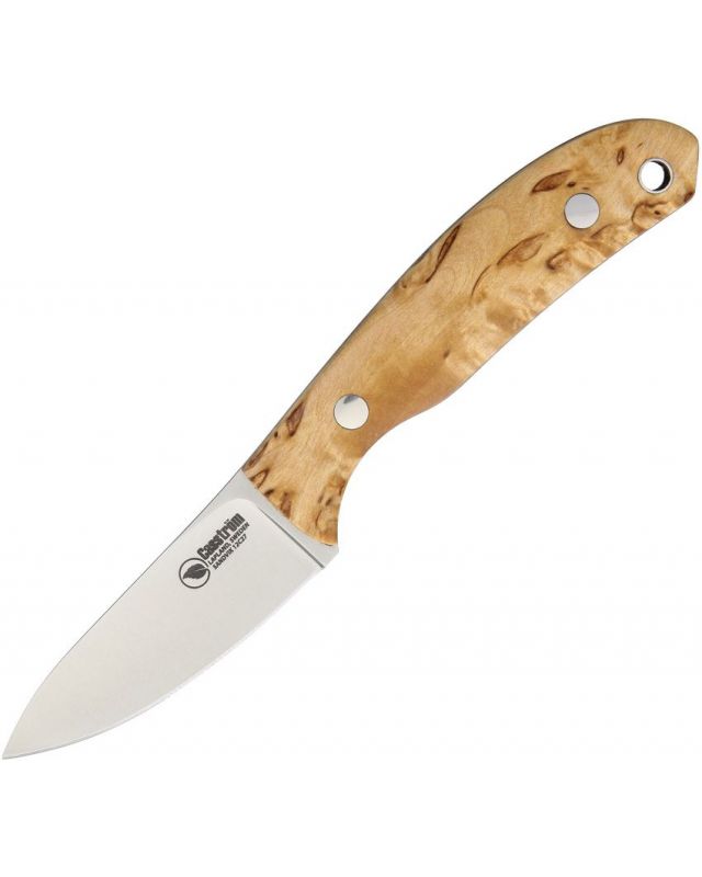 Safari Curly Birch