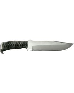 TX Bowie