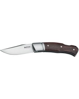Desert Ironwood