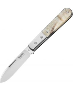 Barlow Roundhead Satin Ram