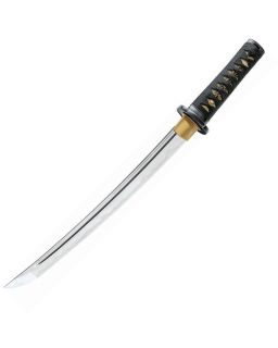 Shikoto Lonquan Master Tanto