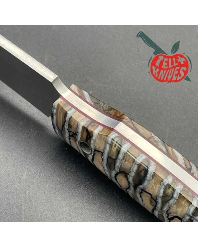 City Knife Tanto 440C steel fossilized Mammoth tooth
