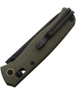 255L-GP Ambi Lock black PVD coated 10Cr15CoMoV stainless blade finish OD Green G10 handle