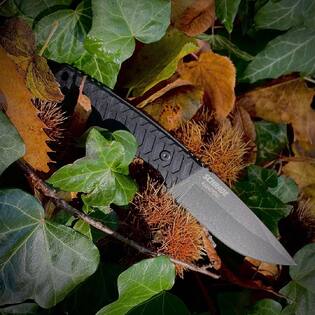@schradeknives Wolverine 😎
Excellent small fixed blade, EDC ready, sharp & versatile 👌🏻👍🏻
AUS-10A & cheap, we like it ✅
Available @tellknives of course 😉
#schrade 
#schradeknives 
#tellknives 
#tellknivesapproved✅ 
#tellknivescommunity 
#tellknivescustom 
#tellknivesvintage 
#tellknives_collectors 
#fixedblade 
#bushcraft 
#bushcraftgear 
#outdoors 
#swissandsharp